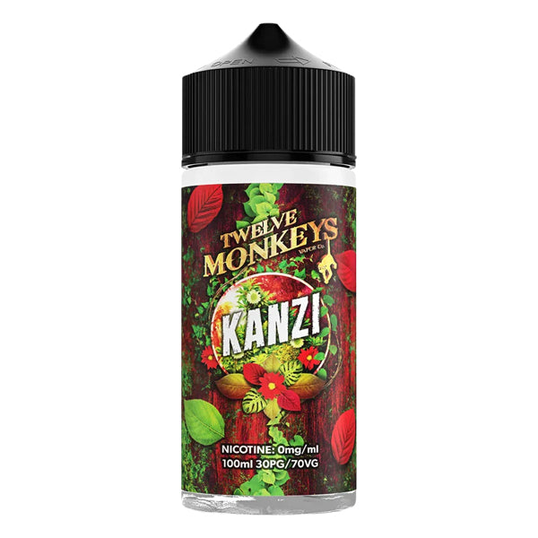 Twelve Monkeys - Kanzi