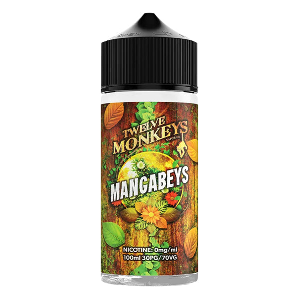 Twelve Monkeys - Mangabeys