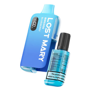 Lost Mary BM6000 Disposable Vape Kit - Blueberry-Fogfathers